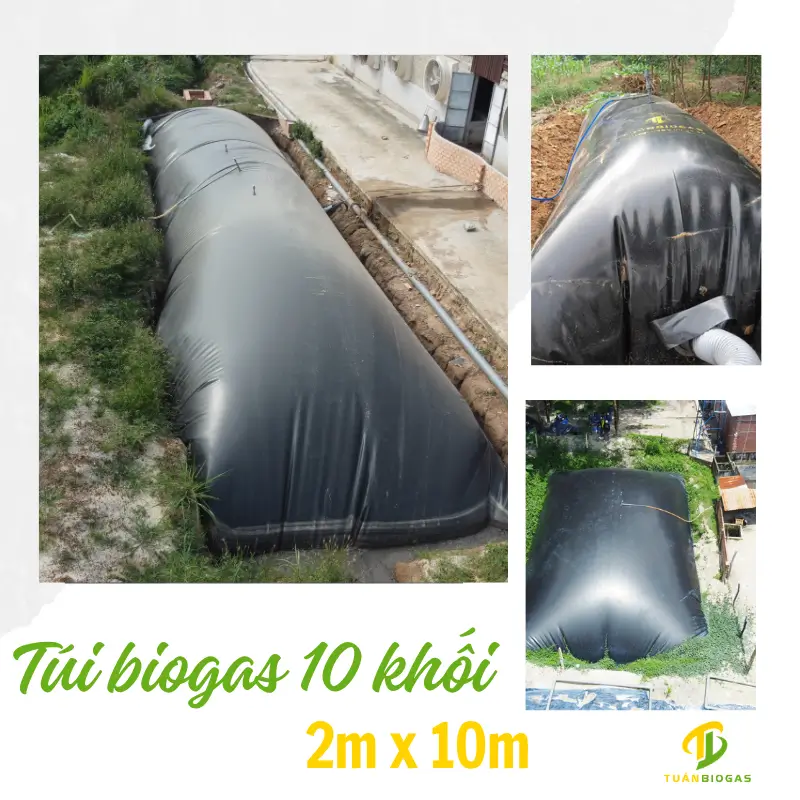Túi Biogas 10 Khối Xử Lý Chất Thải Chăn Nuôi Hộ Gia Đình: Giải Pháp Tiết Kiệm, Bền Vững Hàng Đầu